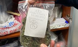 Farklı Kıtaların Bitkileri Aynı Merkezde Buluştu