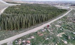 Eskişehir'e yakışmayan görüntü