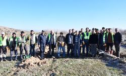 Beylikova’da Bin Karaçam Fidanı Toprakla Buluştu