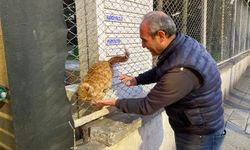 Eskişehir’de Hayvansever Taksiciler Sokak Canlarına Sahip Çıkıyor