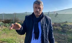 Eskişehir Salep Üretiminde Merkez Olabilir: “Birinci Sınıf Kalite Mümkün”