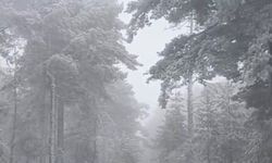 Mihalıççık’ta Mevsimin İlk Karı Yağdı