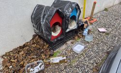 Vatandaşlardan sokak hayvanları için örnek davranış