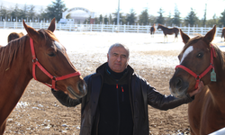 At Yetiştiricileri İçin Kış Mesaisi Zor Geçiyor