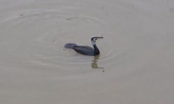 Eskişehir’de Sahte Radar Taklidi Yapan 2 Gence 173 Bin TL Ceza