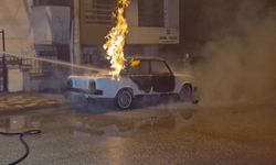 Park halindeki LPG'li araç küle döndü