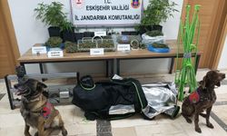 Eskişehir’de dev uyuşturucu operasyonu: Kilolarca esrar ele geçirildi