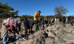 14 Mart Tıp Bayramı’nda “Hep Birlikte Geleceğe Nefes” Diyerek Fidanlar Toprakla Buluştu