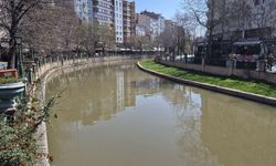 Sağanak Yağış Sonrası Porsuk Çayı Kahverengiye Büründü