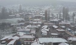 Eskişehir’in o ilçesi beyaza büründü
