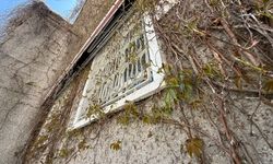 Eskişehir’in ikonik Sarmaşıklı Camii baharın gelişiyle yeniden uyanıyor