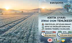 Eskişehir İçin Zirai Don Uyarısı: Üreticiler Dikkat!