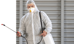 Böcek ve Haşere İlaçlama Hizmetlerinde Profesyonel Çözüm: Entofarma