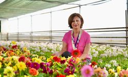 Eskişehir Büyükşehir Belediyesi kendi seralarında 700 bin çiçek üretti