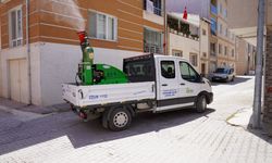 Tepebaşı Belediyesi ilçe genelinde haşereyle mücadele çalışmalarını hızlandırdı