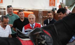 Eskişehir İl Tarım Müdürü Yüksel Çil Mahmudiye ilçesinde incelemelerde bulundu