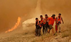 Türkiye Genelindeki 115 Yangının 110'u Kontrol Altına Alındı
