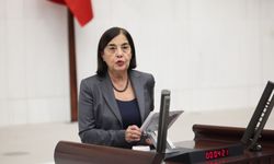 Jale Nur Süllü'den Fon Yasasına Sert Tepki