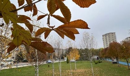 Parklar sonbahar renklerine büründü