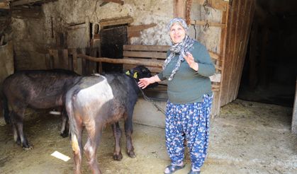 Büyükşehir’den üreticiye destek, kırsalda verim arttı