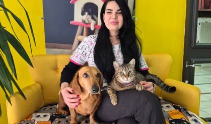 Veteriner kliniğindeki kedi ve köpek arasındaki ilginç dostluk