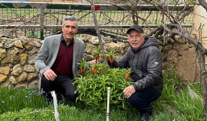 'Turşail' koparmanın cezası 700 Bin Lira