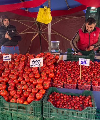 Ucuz ve lezzetli bahçe domateslerine esnaf 'Son elveda' dedi