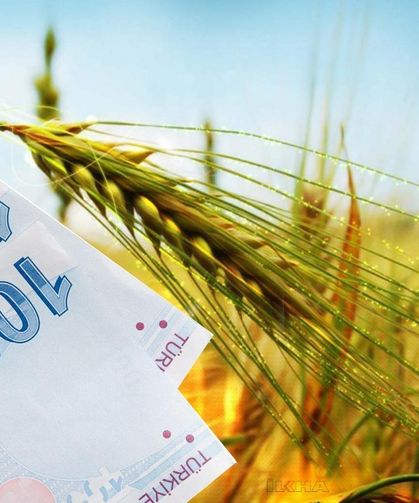 Eskişehir’de çiftçilere 38,7 milyon liralık destek ödemesi