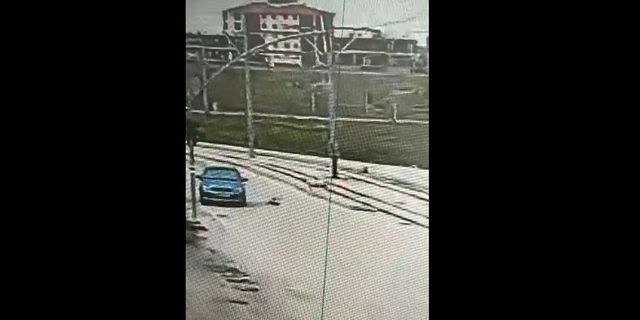 Aracıyla yavru köpeğe çarpıp kaçan şoför güvenlik kamerasına yakalandı