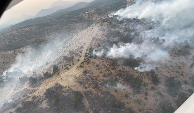 Eskişehir’de 7 saattir devam eden orman yangınına müdahale sürüyor