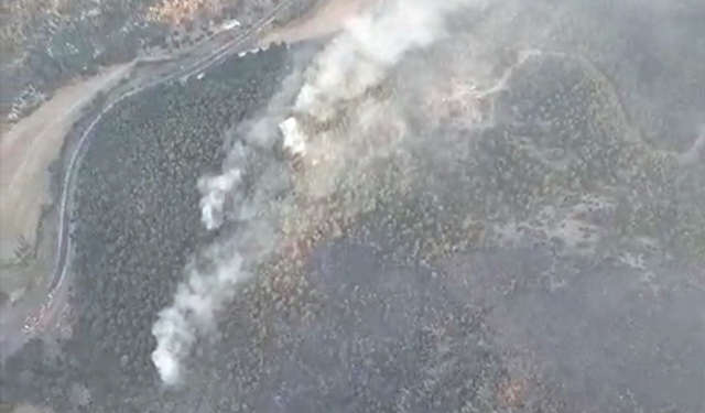Eskişehir’de orman yangınına sabah saatlerinde yeniden havadan müdahale başladı