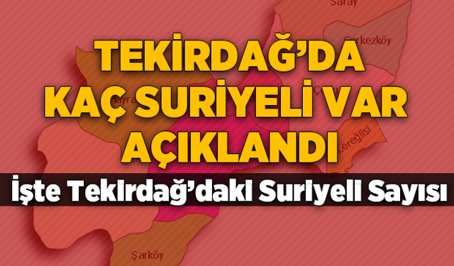 Tekirdağ'da kaç suriyeli var? İşte Tekirdağ'daki suriyeli sayısı