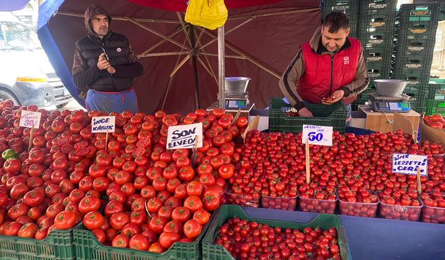 Ucuz ve lezzetli bahçe domateslerine esnaf 'Son elveda' dedi