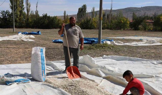 Tüccarın fırsatçılığı çiftçiyi mağdur ediyor