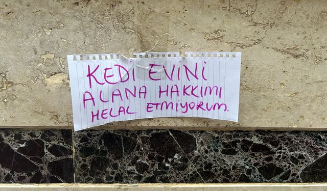Eskişehir’de kedi evi çalındı: Hayvanseverden duygusal tepki