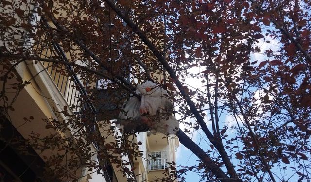Eskişehir’de ağaç dallarına atılan çöpler tepki topladı