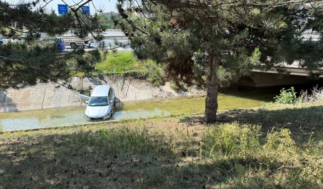 Kontrolden çıkan otomobil sulama kanalına uçtu