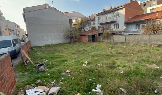 Eskişehir’de Boş Arsada 8 Kedi Ölü Bulundu