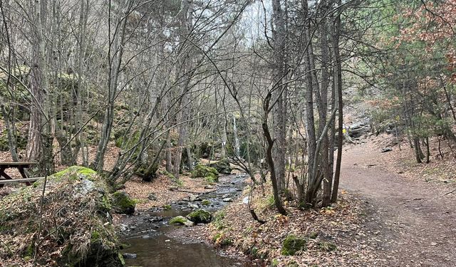 Beşikderesi’nde Kış Güzelliği ve Kuraklık Endişesi