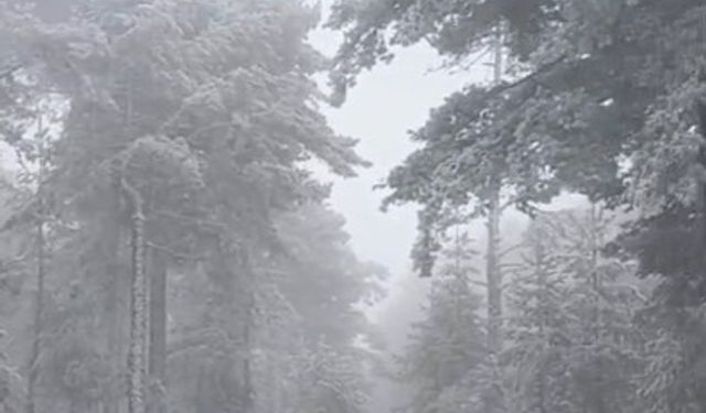 Mihalıççık’ta Mevsimin İlk Karı Yağdı