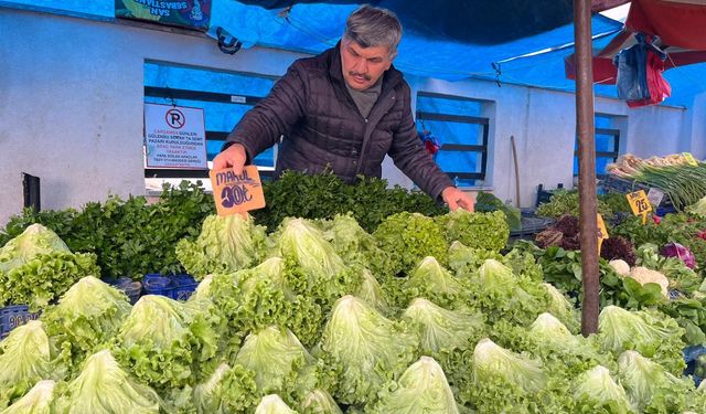 Eskişehir’de Don ve Sel Seraları Vurdu: Yeşillik Fiyatları İkiye Katlandı