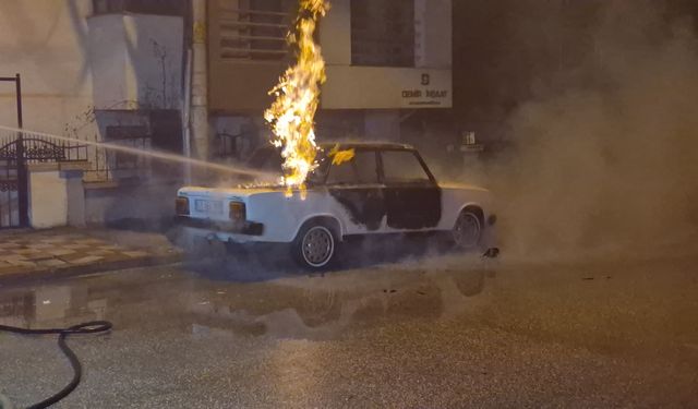 Park halindeki LPG'li araç küle döndü