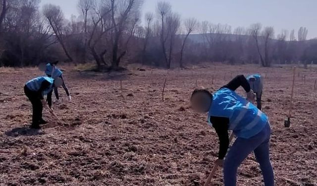 "Ferah Bahçe Adalet Ormanı"nda bahar mesaisi başladı