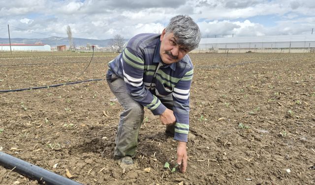 Eskişehir Tarlalarında Hareketlilik Başladı