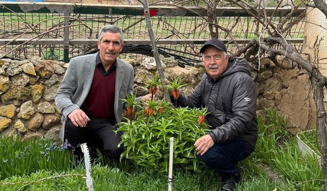 'Turşail' koparmanın cezası 700 Bin Lira