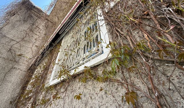 Eskişehir’in ikonik Sarmaşıklı Camii baharın gelişiyle yeniden uyanıyor