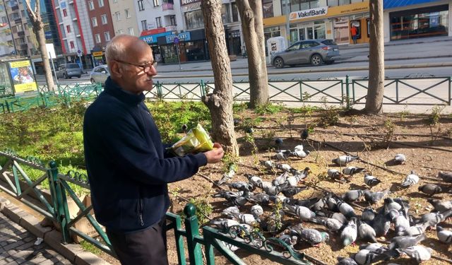 Eskişehirli esnaf çay ocağının önünü kuş cennetine çevirdi