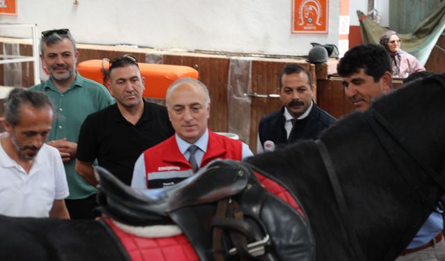 Eskişehir İl Tarım Müdürü Yüksel Çil Mahmudiye ilçesinde incelemelerde bulundu