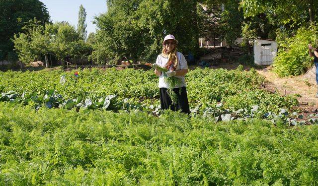 Dalından Sofraya: Sazova'dan Tezgaha Uzanan Taze Emek