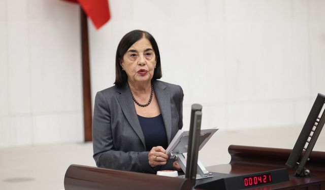 Jale Nur Süllü'den Fon Yasasına Sert Tepki